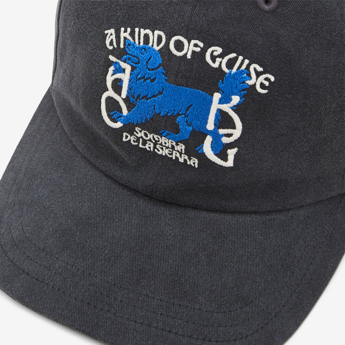 Sombra Souvenir Cap Night Navy Headwear