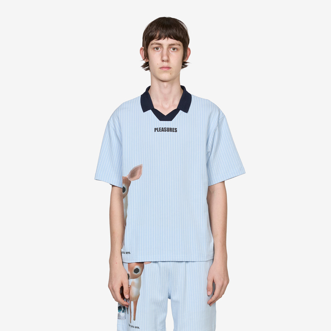 Pet Polo Blue Shirts