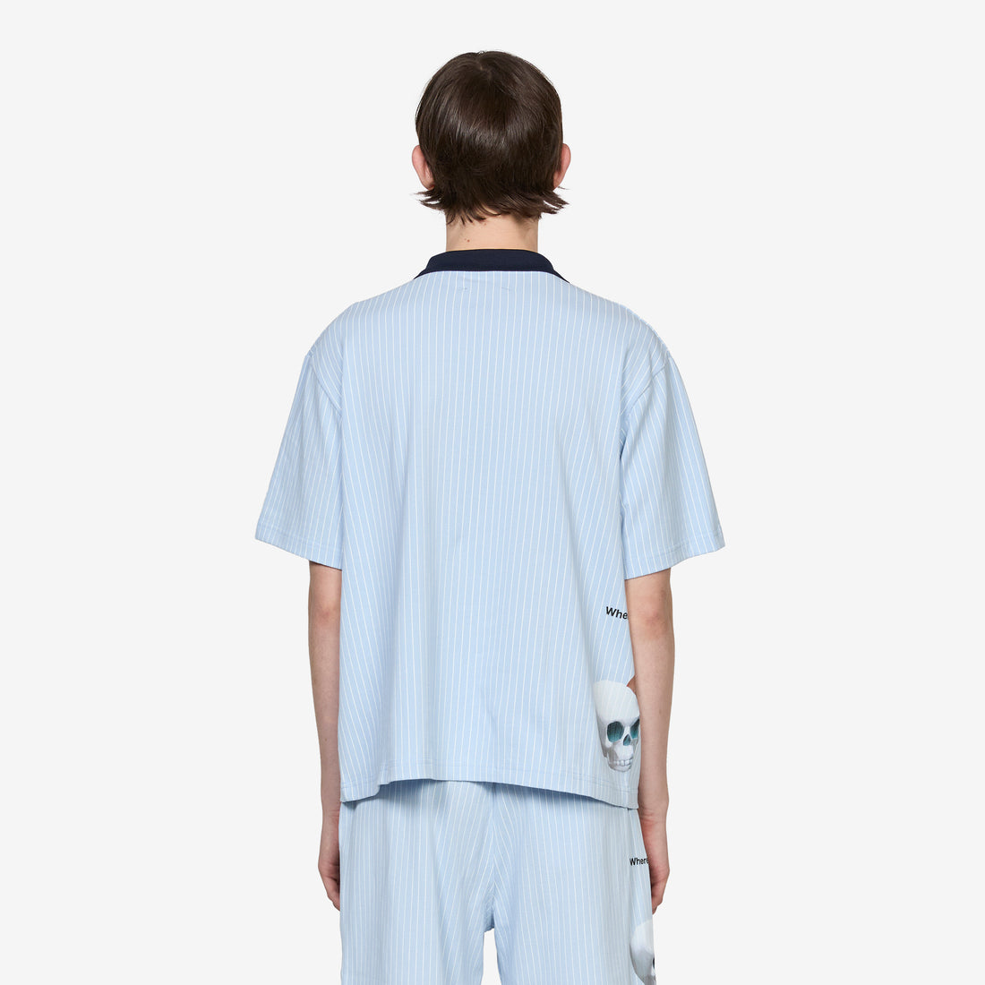 Pet Polo Blue Shirts