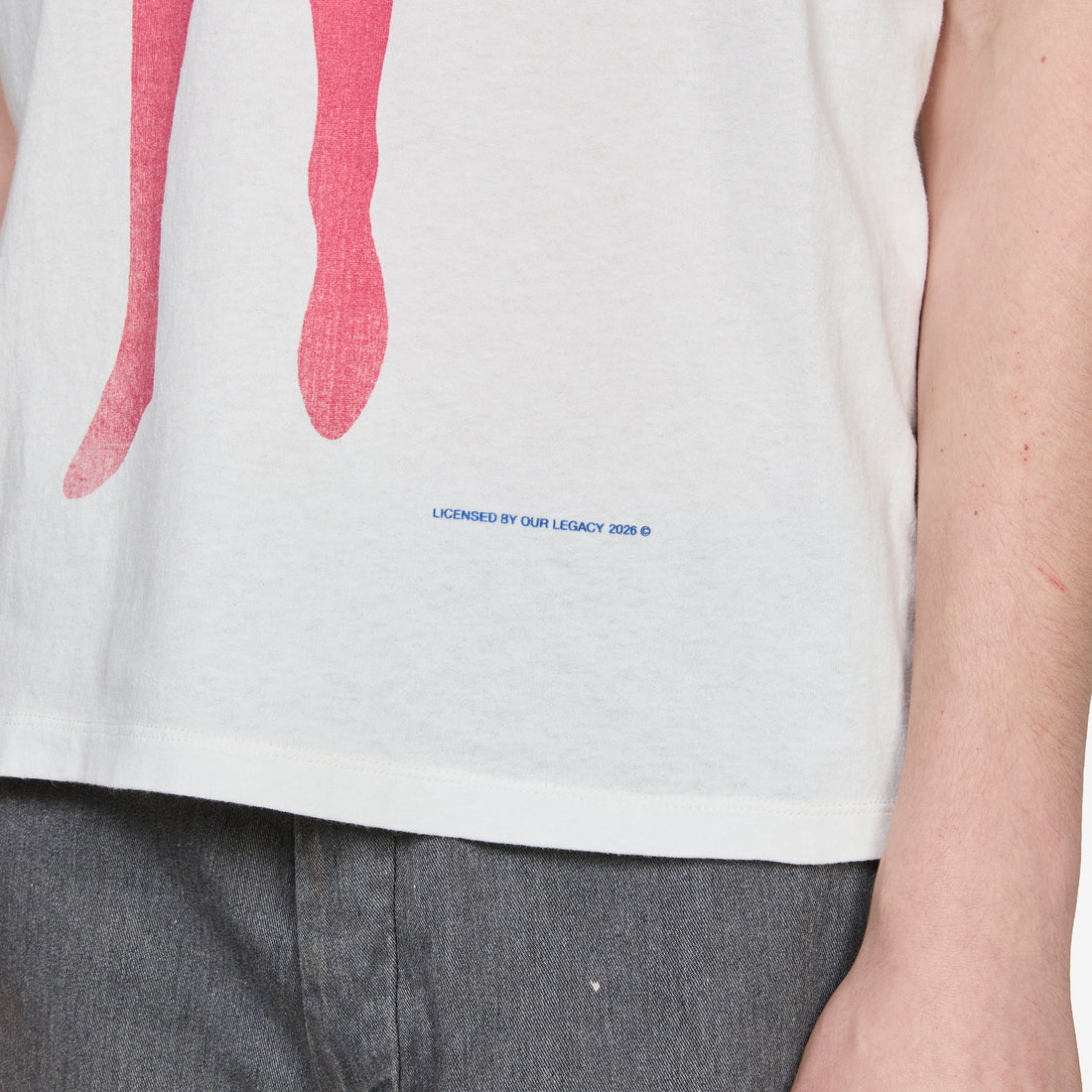 Box T-Shirt Cybernetic Demon Print Tees