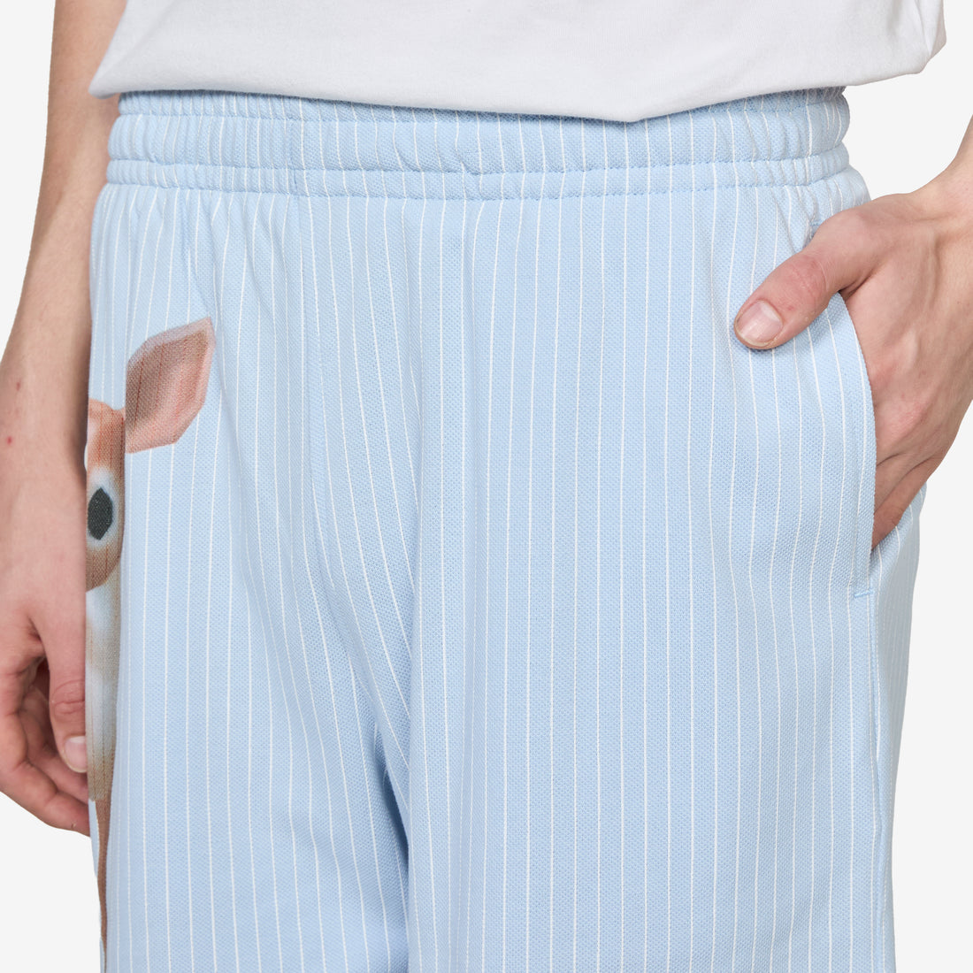 Pet Shorts Blue Shorts