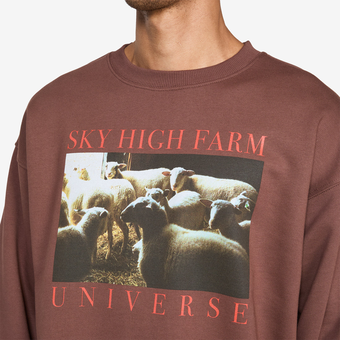 SHF Universe Sheep Crewneck Brown Jumpers