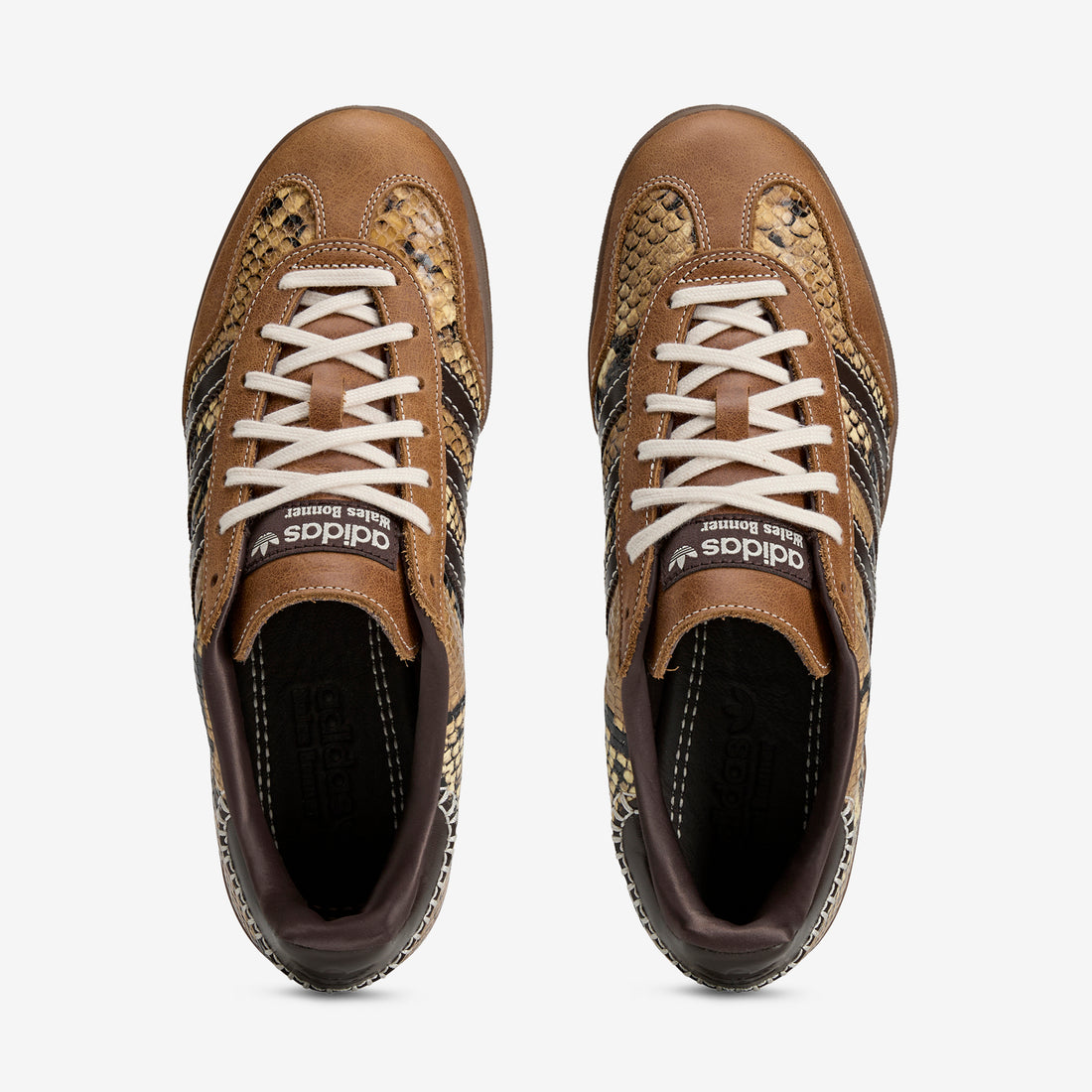 Wales Bonner x Gazelle Snake Supplier Colour | Dark Brown | Wonder White Footwear
