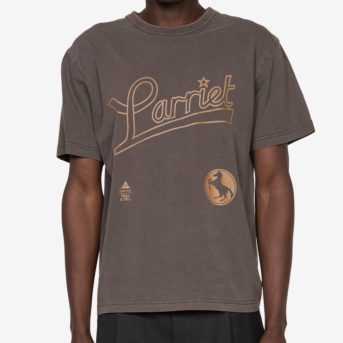 Tried & True T-Shirt Dark Brown Tees