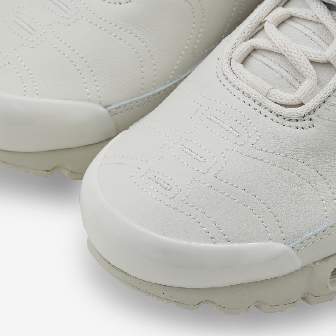 Air Max Plus TNPO Phantom | Metallic Gold Footwear