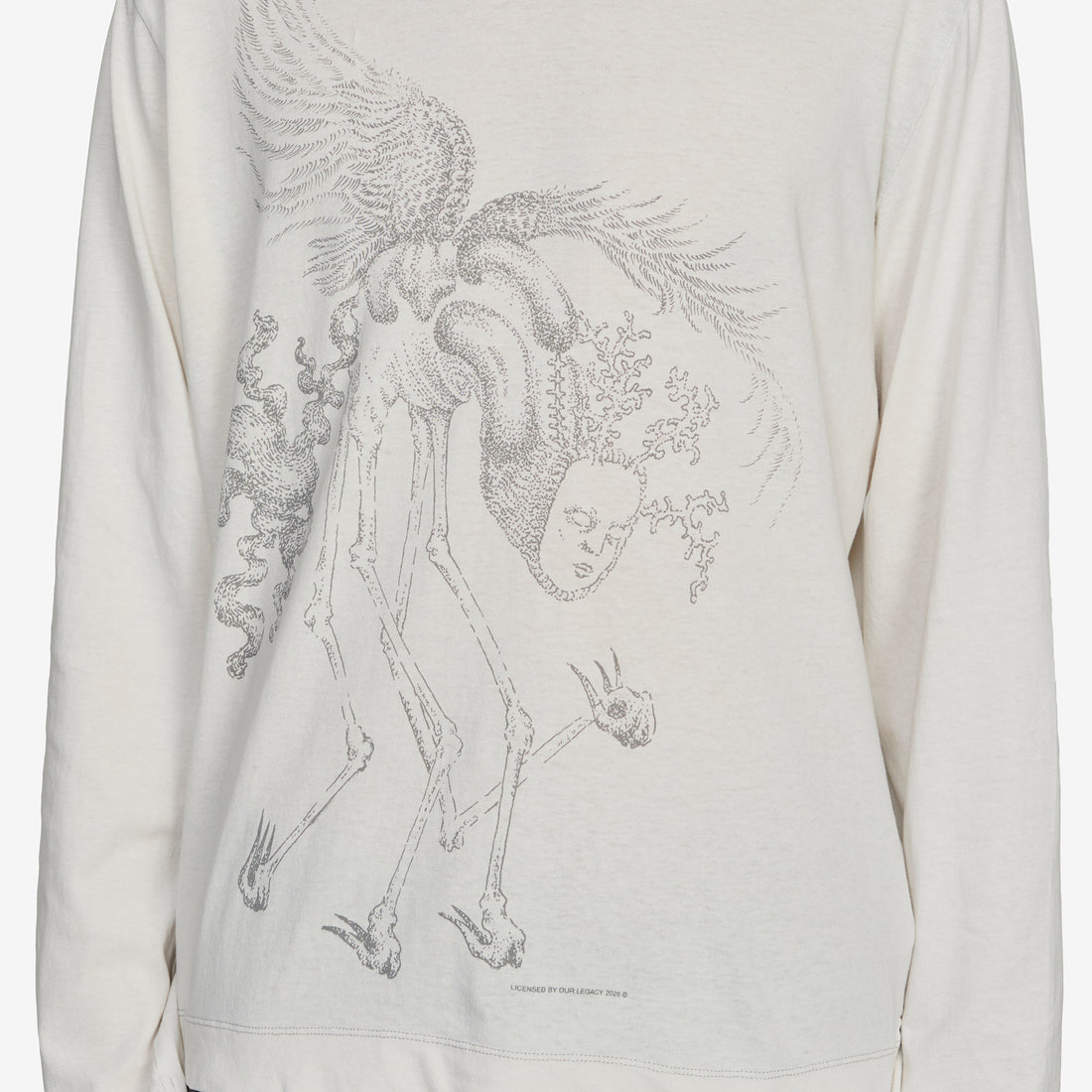 Box Longsleeve Manifested Spirit Print Tees