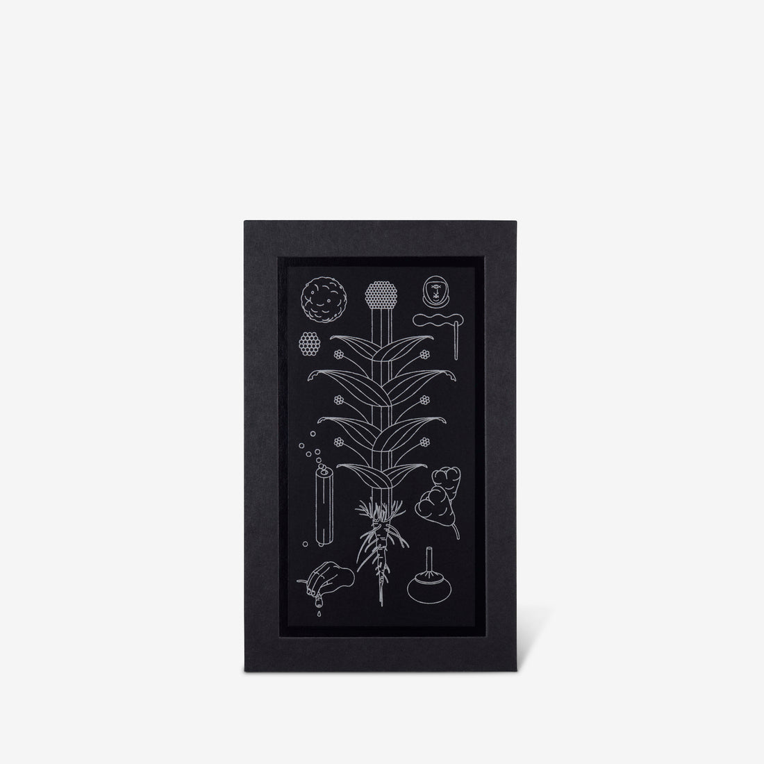 Silphium 30mL Lifestyle