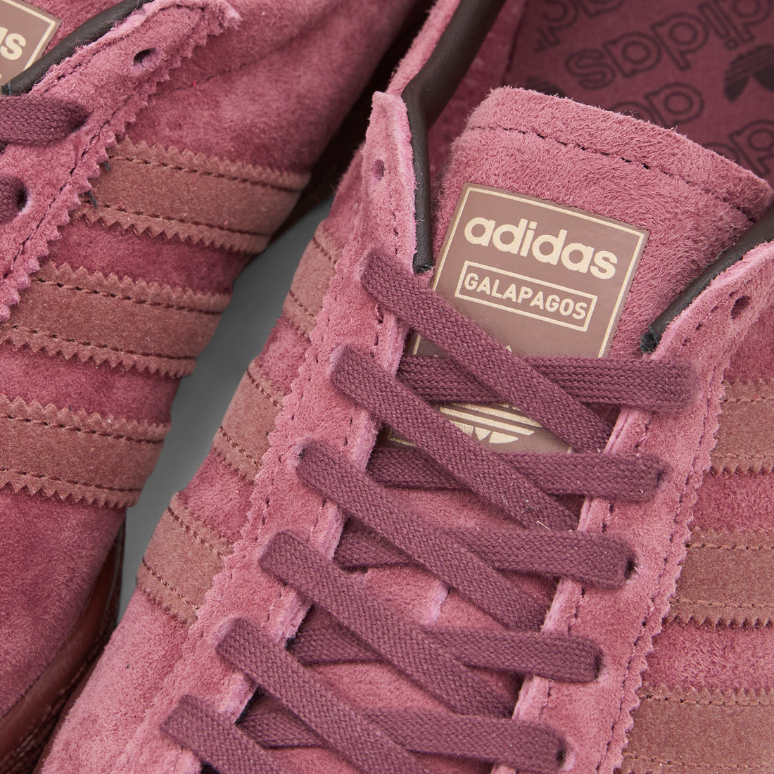 Galapagos Quiet Crimson | Wild Sepia | Fox Brown Footwear