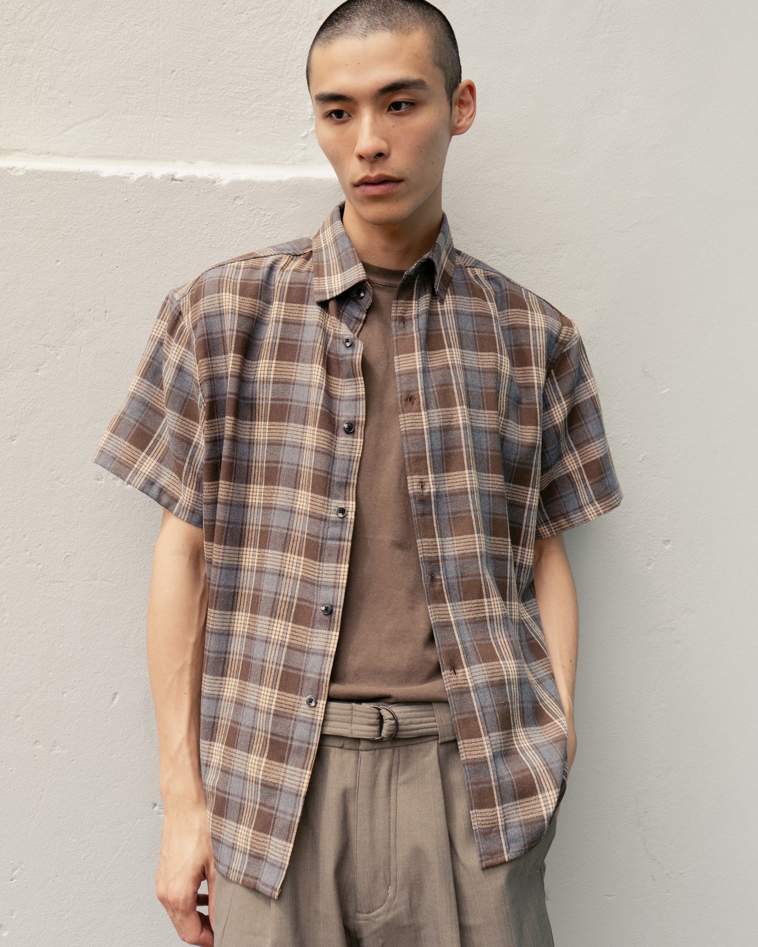 collections-beach-brains