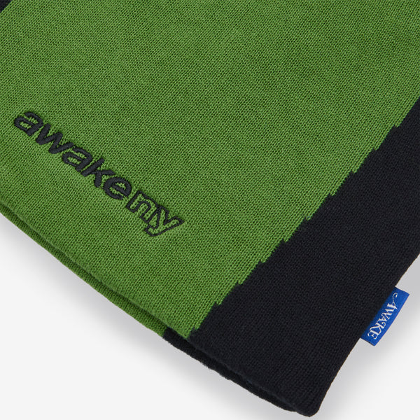 Panel Beanie Green Headwear