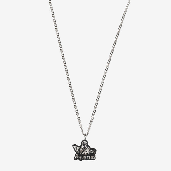 Aquarius Pendant Silver Front