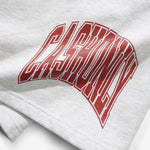 Bench Fleece Shorts Ash