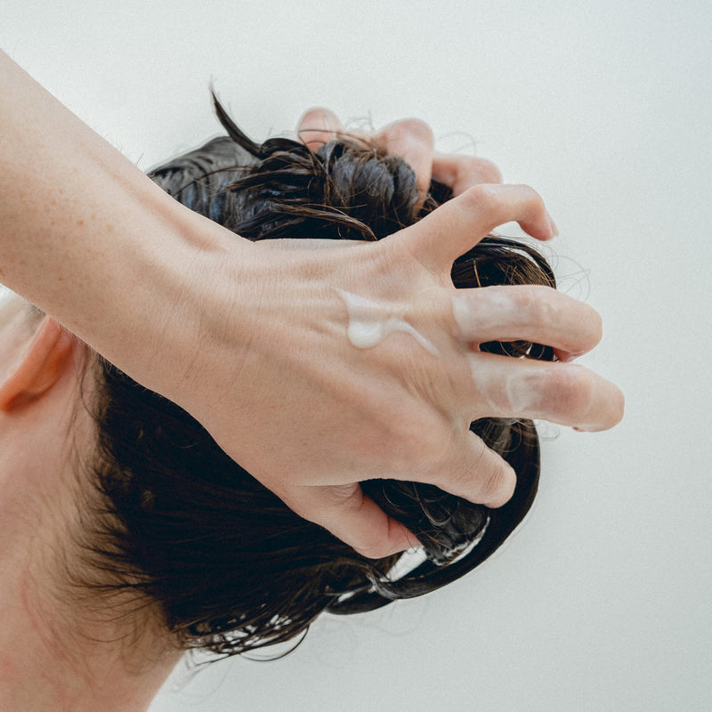 Bio+ Energiser Conditioner Accessories