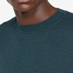 Tipped Thermal Algae