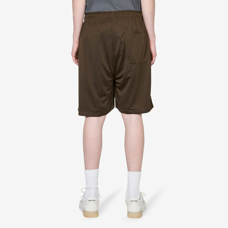 Ray Shorts Brown Shorts