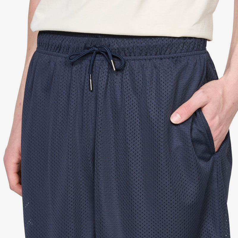 Ray Shorts Navy Shorts