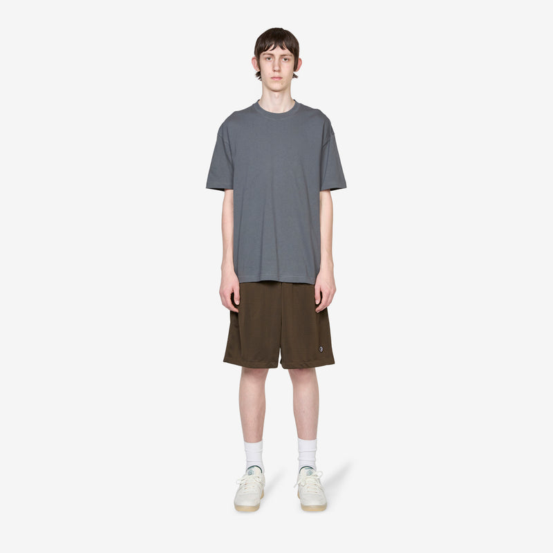 Ray Shorts Brown Shorts