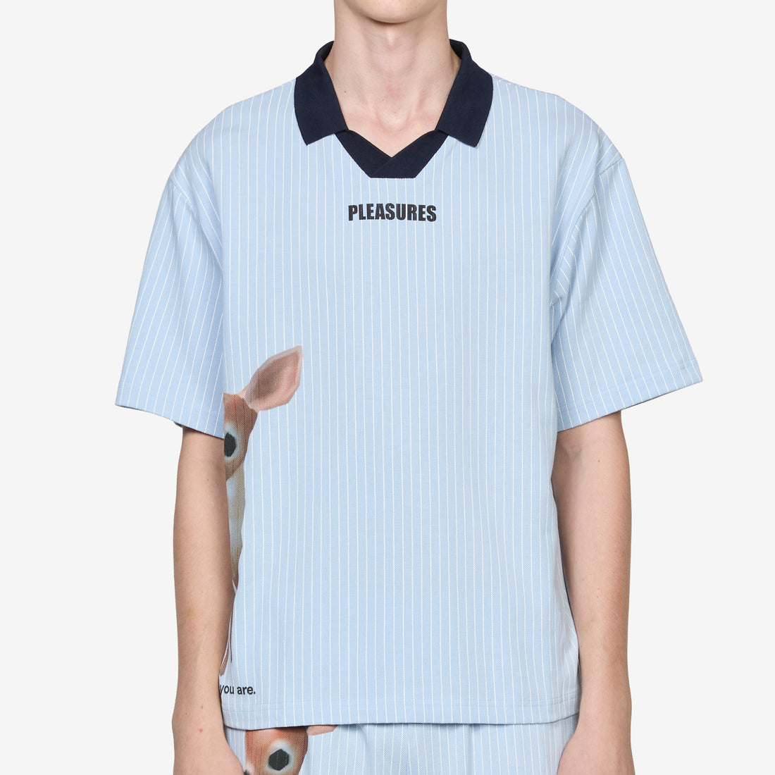 Pet Polo Blue Shirts