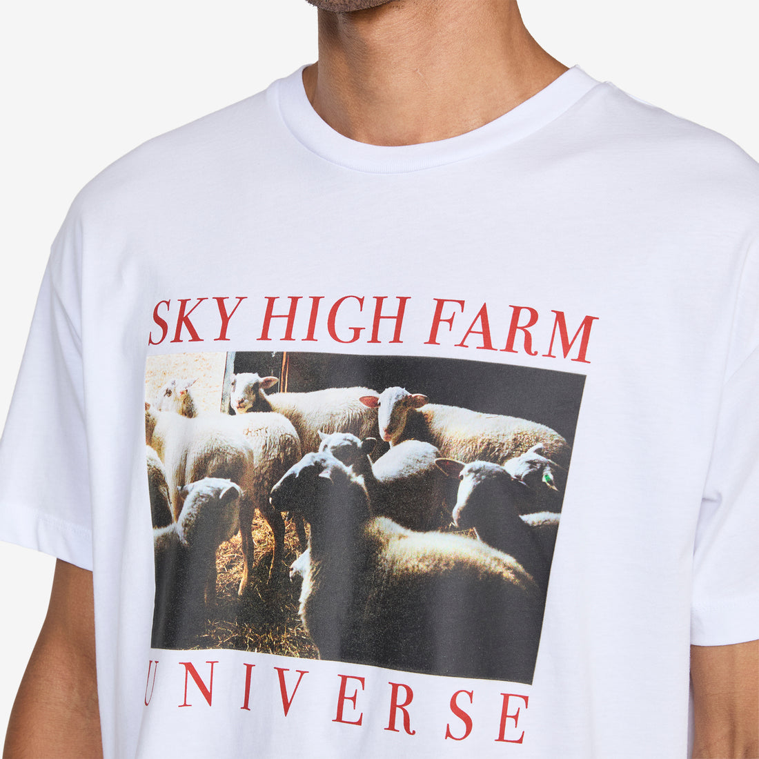 Sheep T-Shirt White Tees
