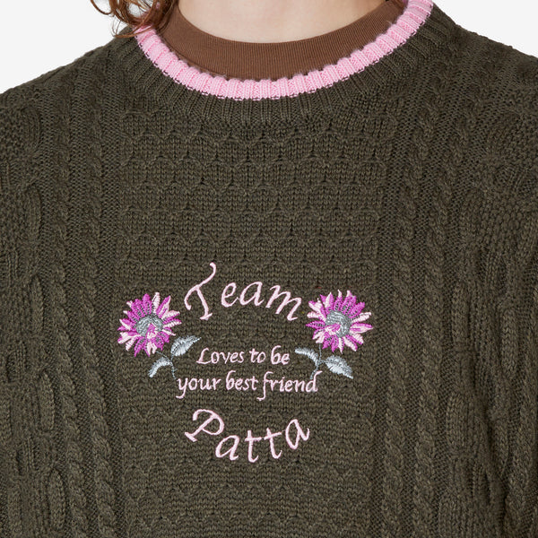 Loves You Cable Knitted Sweater Beetle