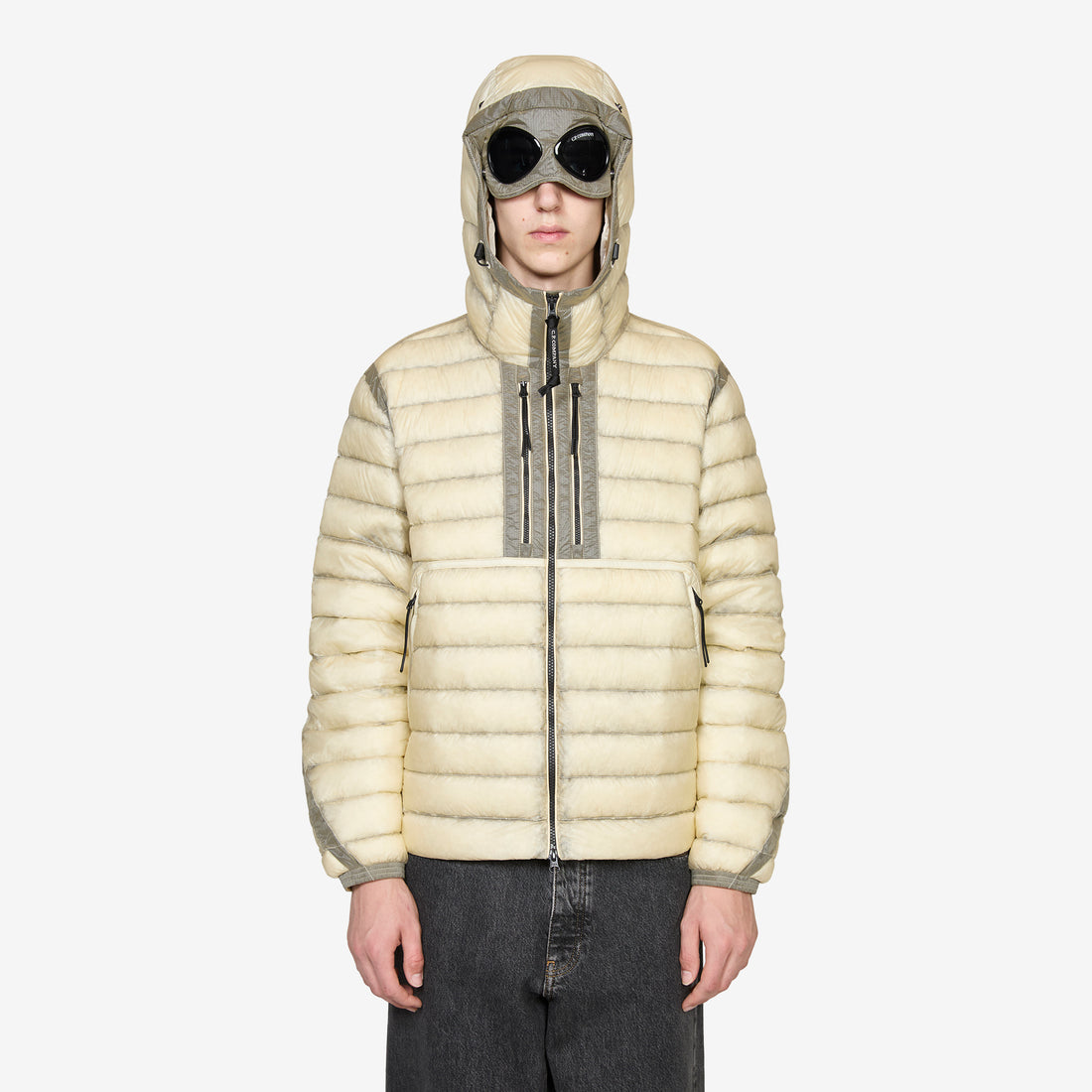D.D. Shell Goggle Down Jacket Pistachio Shell Jackets