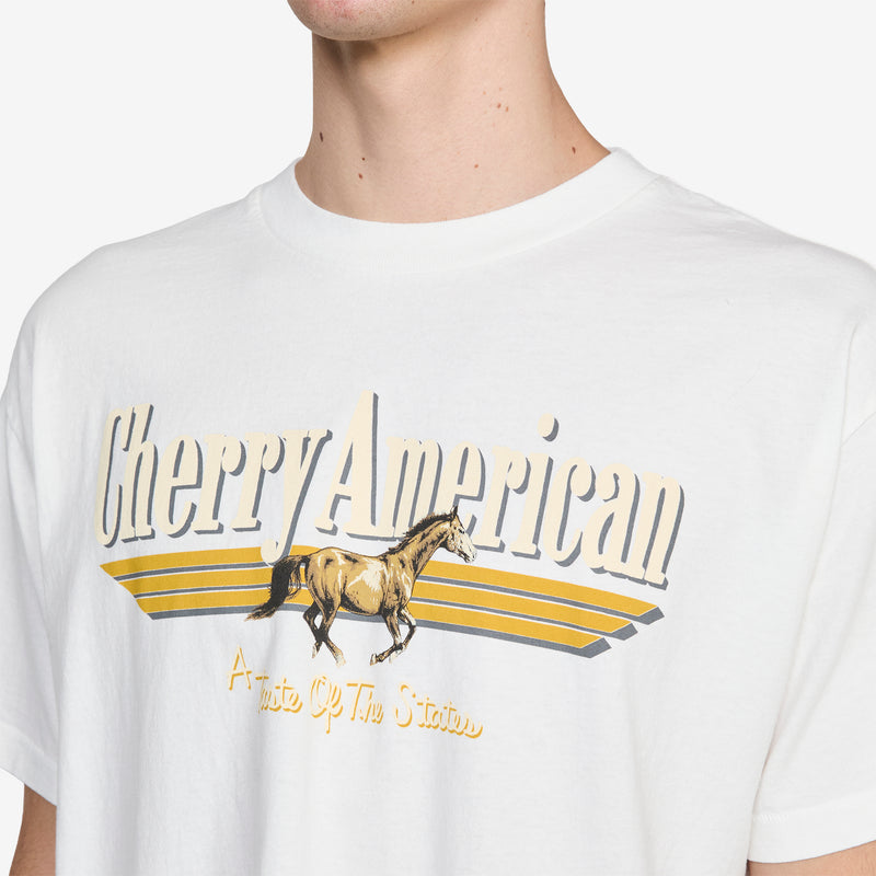 Coast to Coast Boxy T-Shirt Vintage White Tees