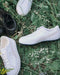 collections-puma