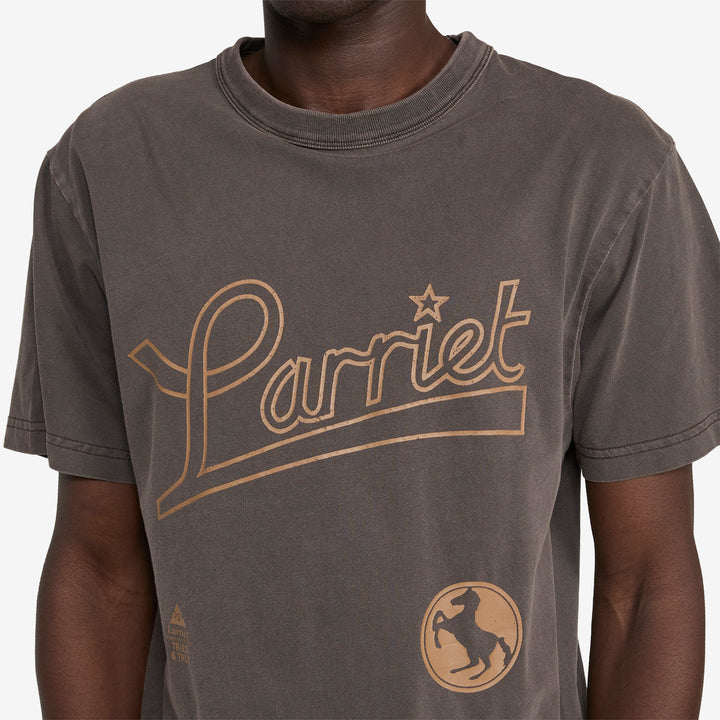 Tried & True T-Shirt Dark Brown