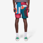 Ball To The Face Swim Shorts Multi
