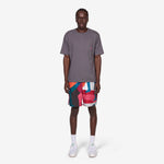 Ball To The Face Swim Shorts Multi