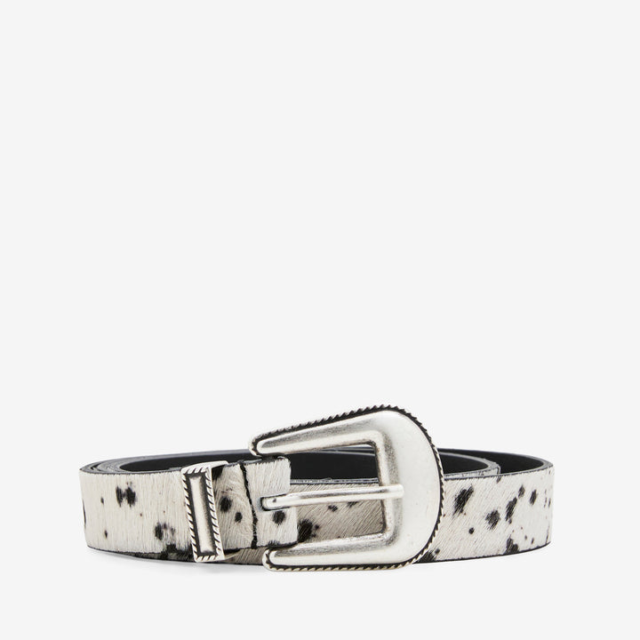 M2413 Belt Cow Pony Front