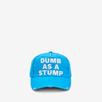 Dumb As A Stump Hat Blue