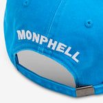 Dumb As A Stump Hat Blue