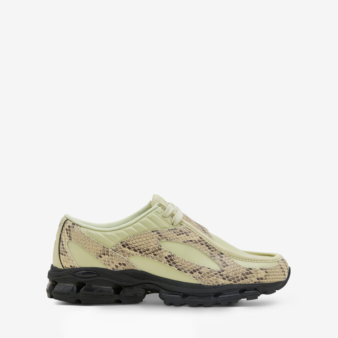 U18907P8 Morel | Black Footwear