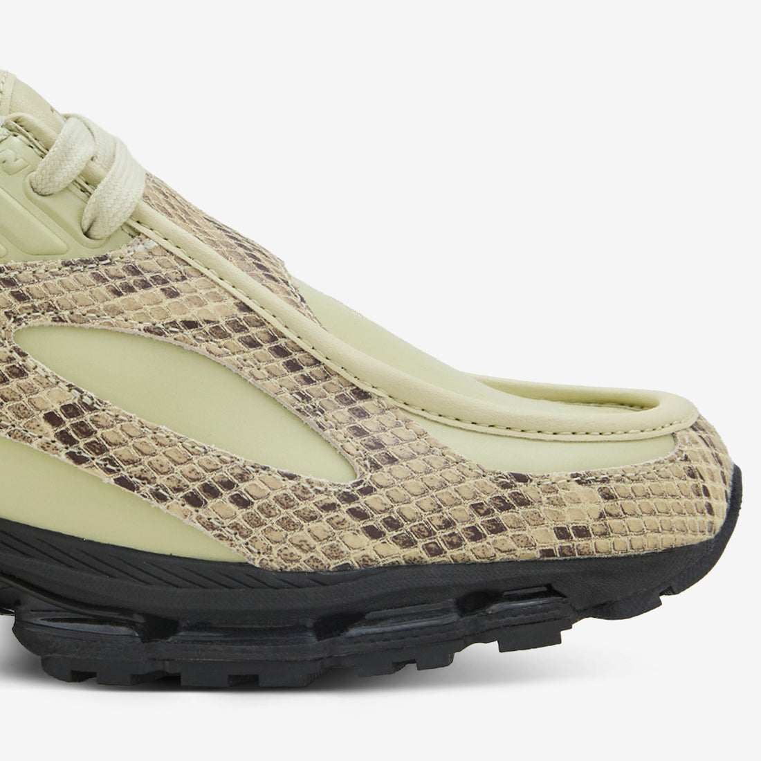 U18907P8 Morel | Black Footwear