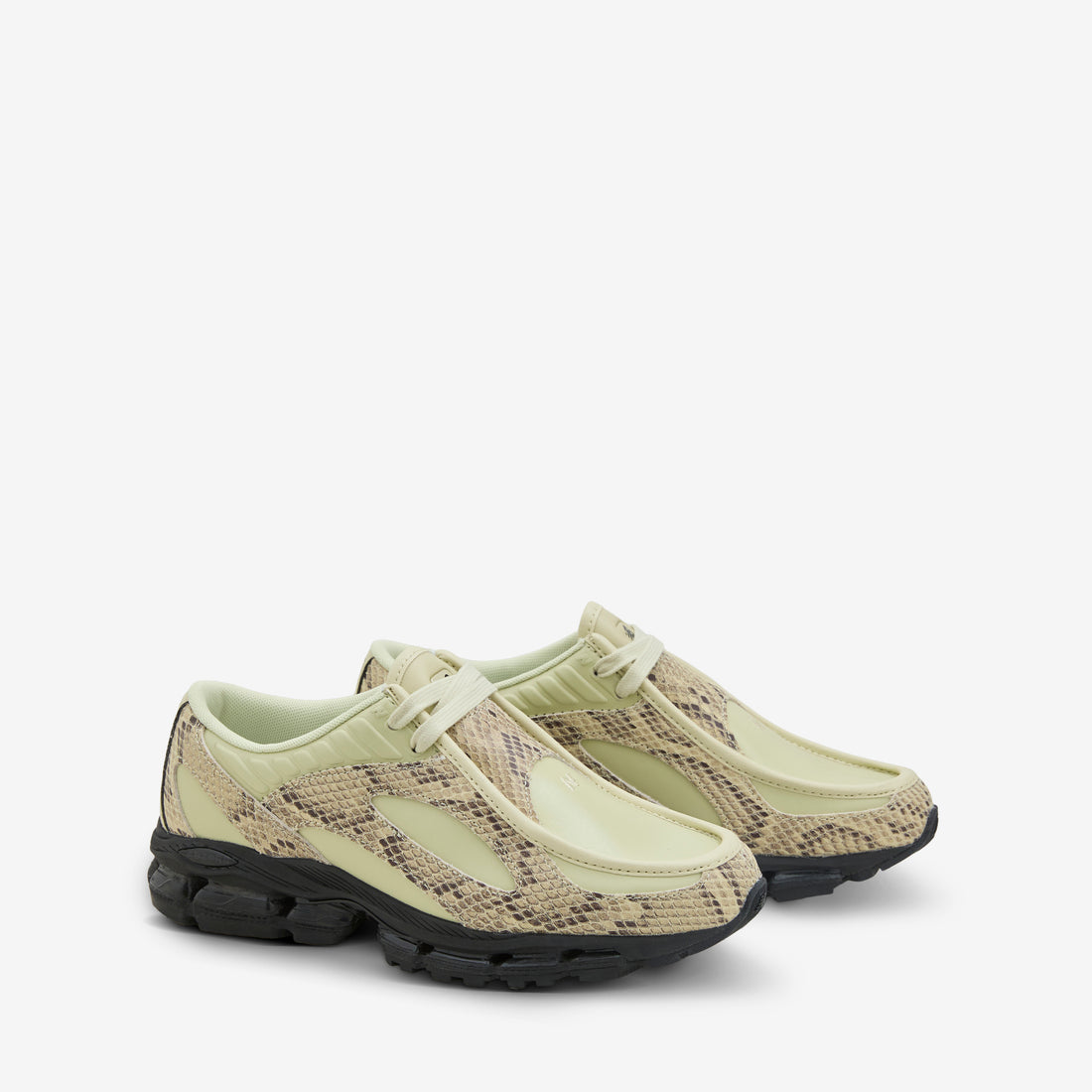 U18907P8 Morel | Black Footwear