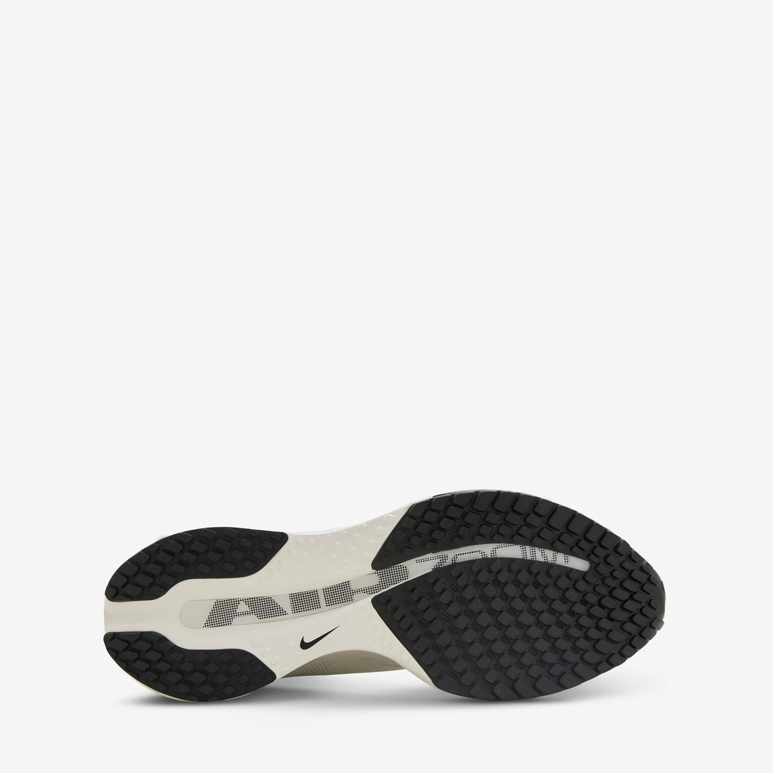 Pegasus Premium SP Black | Sail | Sail Footwear