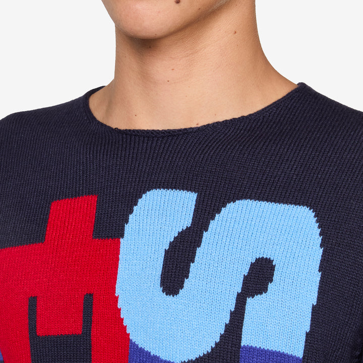 Intarsia Knit Sweater Navy