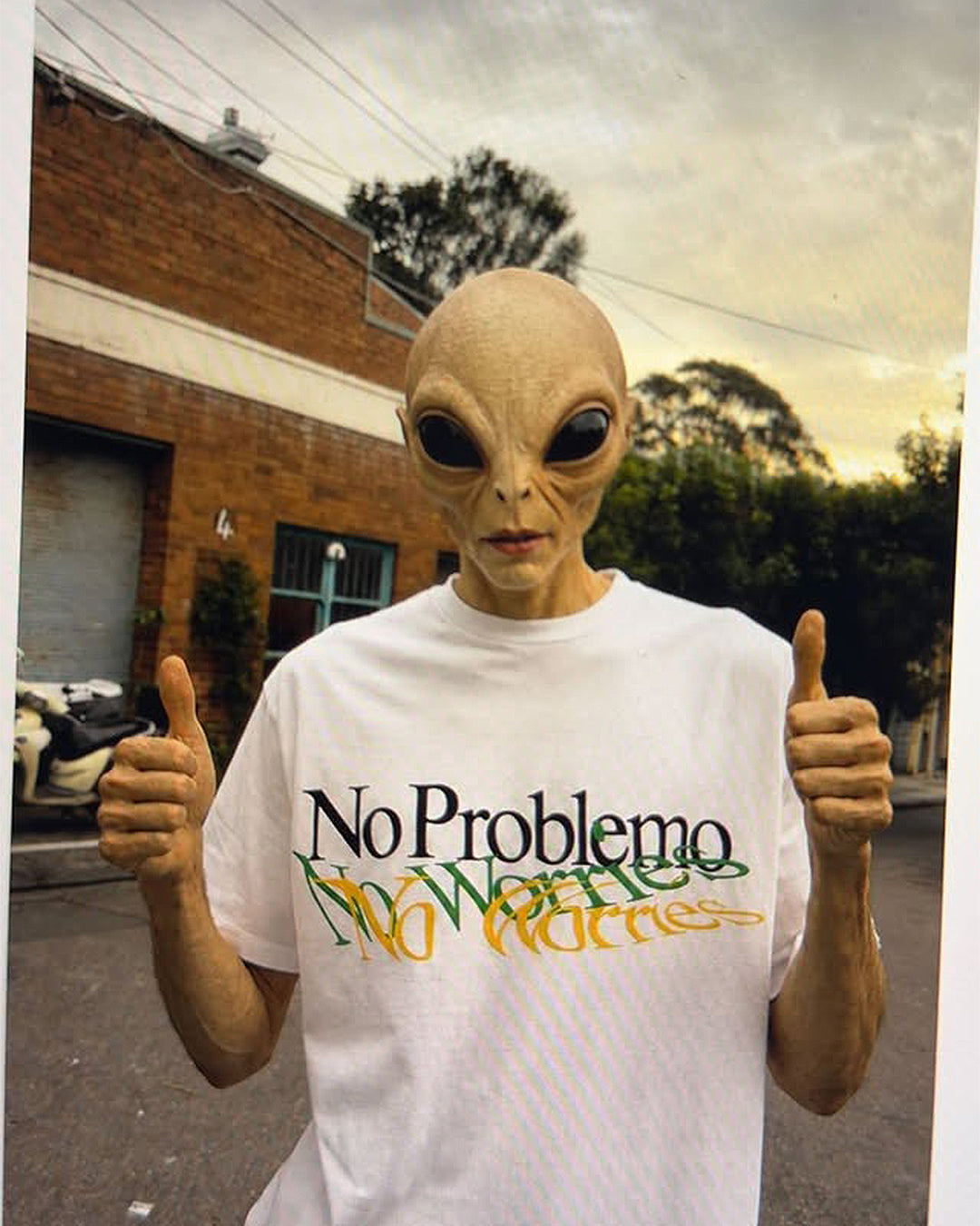 collections-no-problemo
