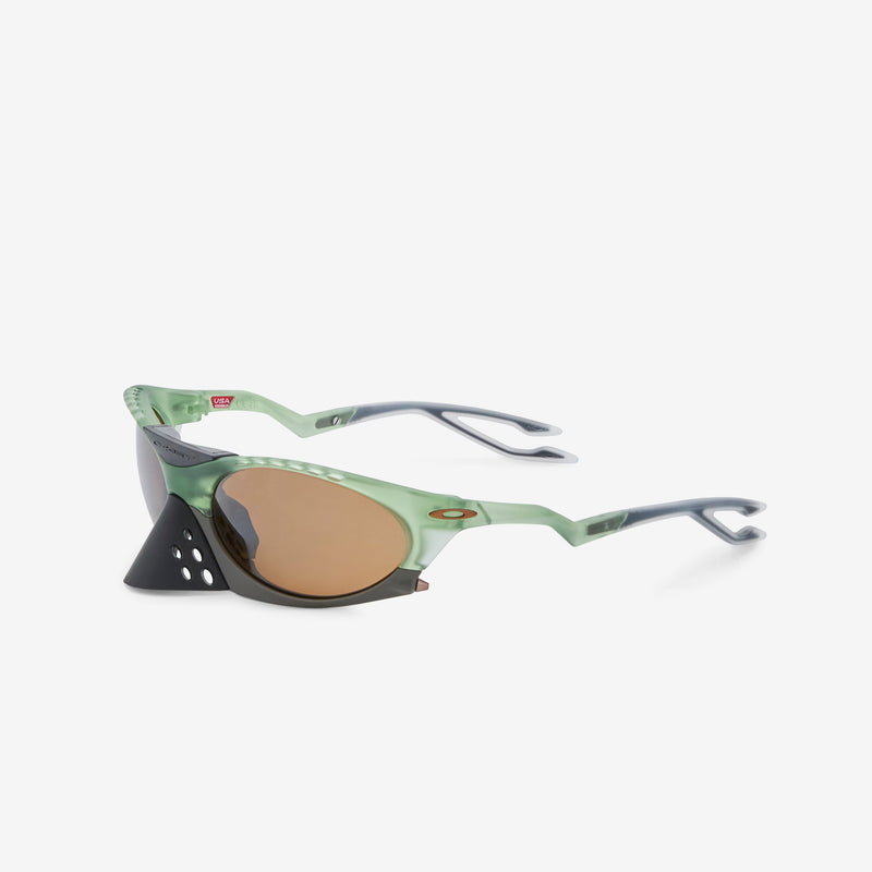 Plantaris Matte Transparent Fern | Prizm Tungsten Eyewear