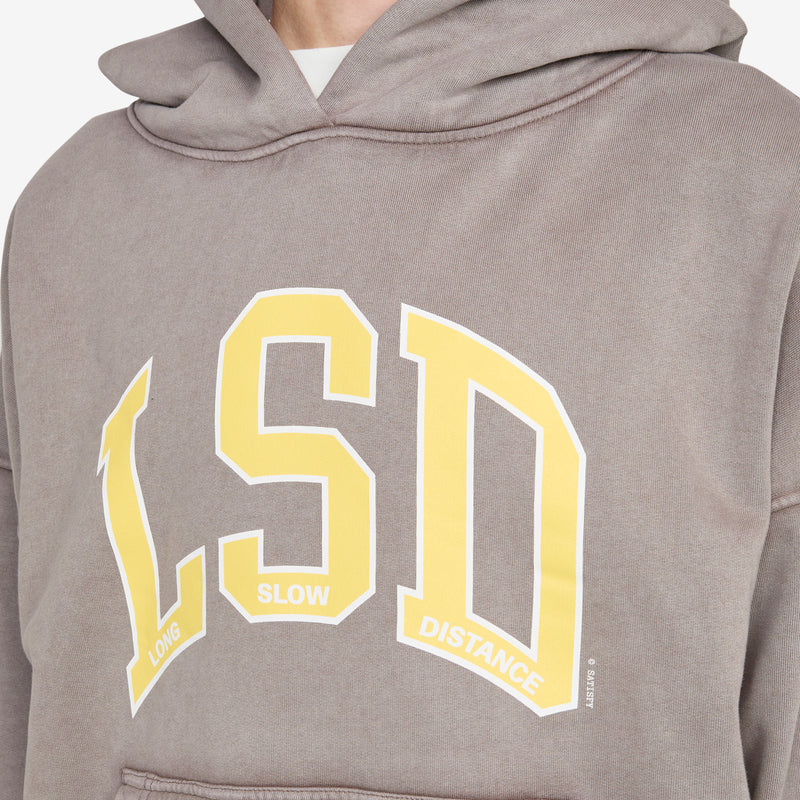 SoftCell™ Hoodie Aged Falcon Jumpers