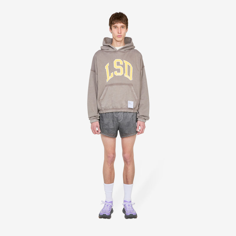 SoftCell™ Hoodie Aged Falcon Jumpers
