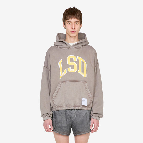SoftCell™ Hoodie Aged Falcon Jumpers