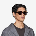 Apollo Havana | Grey Solid Lens