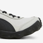 Achillium Sedate Gray | Concrete Gray