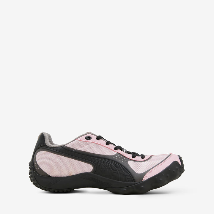 Achillium Whisp Of Pink | Shadow Gray
