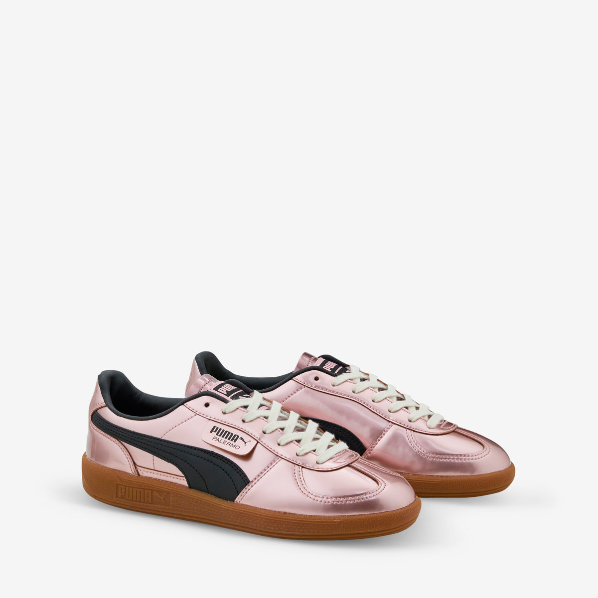 Puma Above The Clouds