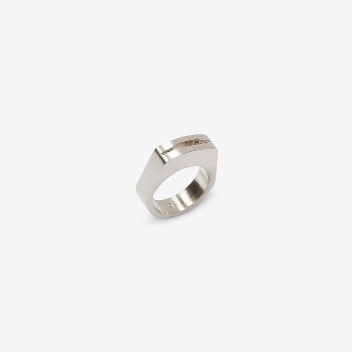 Grill Hollywood Ring Palladio Front
