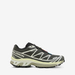 XT-6 Peat | Icicle | Lime Cream