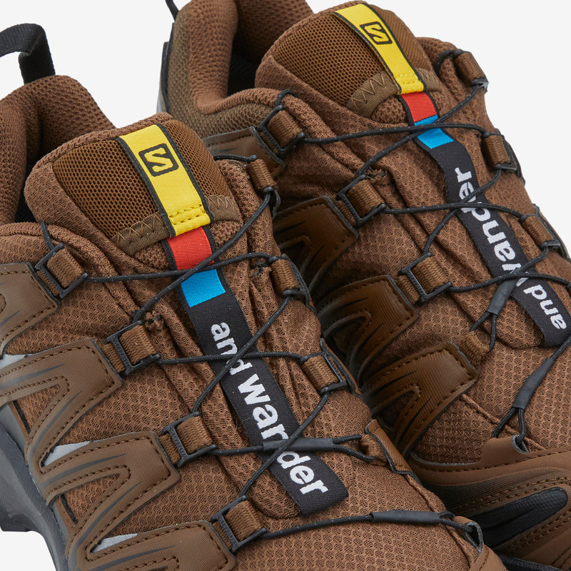 XA Pro 3D Gore-Tex Brown for and wander